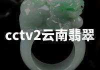 云南翡翠频道CCTV2：全面报道云南翡翠产业的发展现状与前景