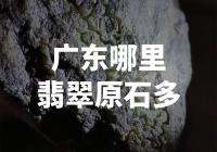 广东哪里有较多的翡翠原石可供选购？